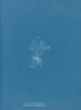 Ceramic roofing - Anna Atkins — artwork view