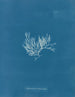 Chylocladia articulé - Anna Atkins — artwork view
