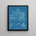 Chylocladia clavellosa - Anna Atkins — framed artwork on a wall