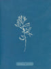 Cystoseira ericoides - Anna Atkins — artwork view