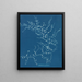 Cystoseira fibrosa - Anna Atkins — framed artwork on a wall