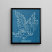Cystoseira granulata - Anna Atkins — framed artwork on a wall