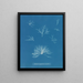 Delesseria hypoglossum dans les fruits - Anna Atkins — framed artwork on a wall