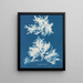 Sinuous Nudes Painting - Anna Atkins — framed artwork on a wall