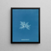 Delesseria sinuosa var. - Anna Atkins — framed artwork on a wall