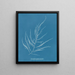 Desmarestia aculeata jeune état - Anna Atkins — framed artwork on a wall