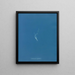 Ectocarpus amphibius - Anna Atkins — framed artwork on a wall