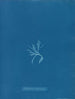Ectocarpus brachiatus - Anna Atkins — artwork view