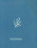 Ectocarpus littoralis - Anna Atkins — artwork view