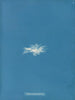 Enteromorpha clathrata - Anna Atkins — artwork view