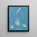 Enteromorpha compressa - Anna Atkins — framed artwork on a wall