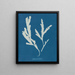 Lame de scie - Anna Atkins — framed artwork on a wall