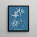 Fucus vesiculosus var. linéaire - Anna Atkins — framed artwork on a wall