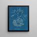 Furcellaria fastigiata - Anna Atkins — framed artwork on a wall