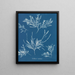 the frost on the nose - Anna Atkins — framed artwork on a wall