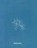 C'est à toi - Anna Atkins — artwork view