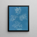 Gigartina acicularis with beautiful fruits - Anna Atkins — framed artwork on a wall