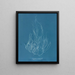 Gigartina acicularis - Anna Atkins | Painting — framed artwork on a wall