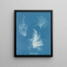 Gigartina pliée - Anna Atkins — framed artwork on a wall
