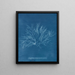 Rose violette géante en fruit - Anna Atkins — framed artwork on a wall