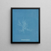 Gloiosiphonia capillaris - Anna Atkins — framed artwork on a wall