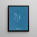 Griffithsia corallina - Anna Atkins — framed artwork on a wall