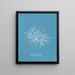 Griffithsia equisetifolia - Anna Atkins — framed artwork on a wall