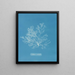 Griffithsia multifida - Anna Atkins — framed artwork on a wall