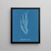 Halymenia ligulata var. ramentacea - Anna Atkins — framed artwork on a wall