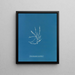 Helminthocladia vermicularis - Anna Atkins — framed artwork on a wall