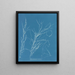 Helminthocladia virescens - Anna Atkins — framed artwork on a wall