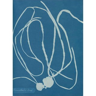Himanthalia lorea - Anna Atkins — artwork view