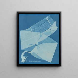 Laminar Bulbous Painting - Anna Atkins — framed artwork on a wall