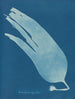 Digital Laminar Painting - Anna Atkins — artwork view