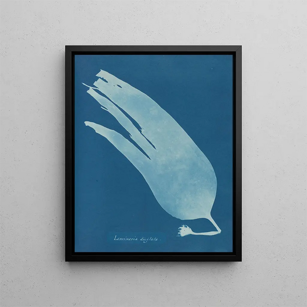 Digital Laminar Painting - Anna Atkins — framed artwork on a wall