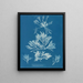 Laurencia pinnatifida - Anna Atkins — framed artwork on a wall