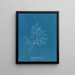 Laurencia pinnatifida en angusta - Anna Atkins — framed artwork on a wall