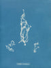 Lyngbya Carmichaelii - Anna Atkins — artwork view