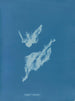 Lyngbya majuscula - Anna Atkins — artwork view