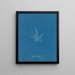 Mesogloia mutifida - Anna Atkins — framed artwork on a wall