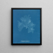 Nitophyllum Gmeleni - Anna Atkins — framed artwork on a wall