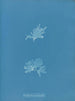 Nitophyllum versicolor - Anna Atkins — artwork view