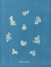 Nostoe commune - Anna Atkins — artwork view