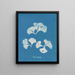 Padina Pavonia - Anna Atkins — framed artwork on a wall
