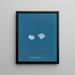 Padina Pavonia (Cas Conflit) - Anna Atkins — framed artwork on a wall