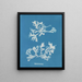 Phyllophora rubens - Anna Atkins — framed artwork on a wall