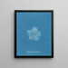 Plocamium cramoisi dans les fruits - Anna Atkins — framed artwork on a wall