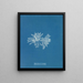 Polysiphonia cristata - Anna Atkins — framed artwork on a wall