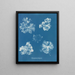 Polysiphonia fastigiata - Anna Atkins — framed artwork on a wall