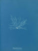Polysiphonia fibrata - Anna Atkins — artwork view